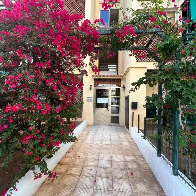 Apartman Los Cristianos-Cristimar Los Cristianos  Exteriér fotografie
